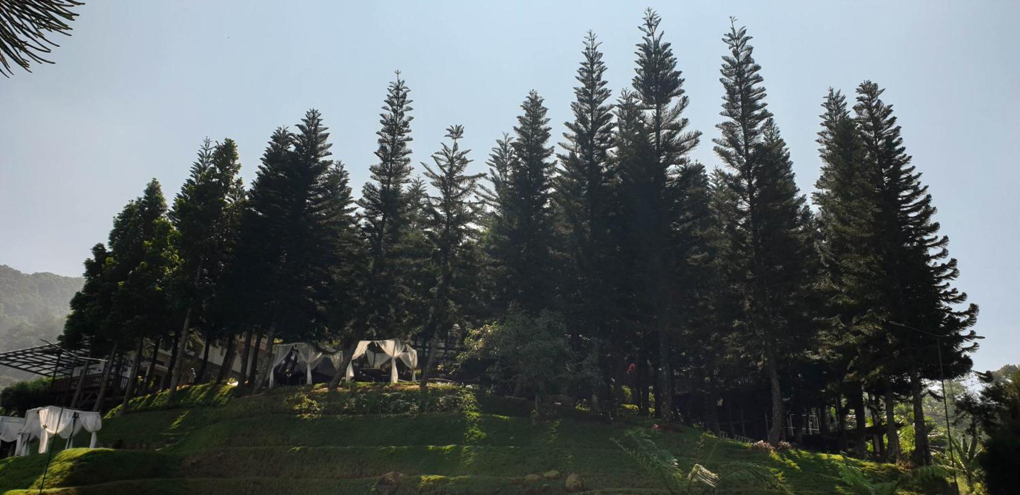 Damar Langit Resort Cisarua Zewnętrze zdjęcie